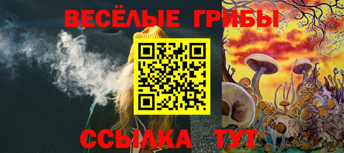 Галлюциногенные грибы прущие грибы Татарск