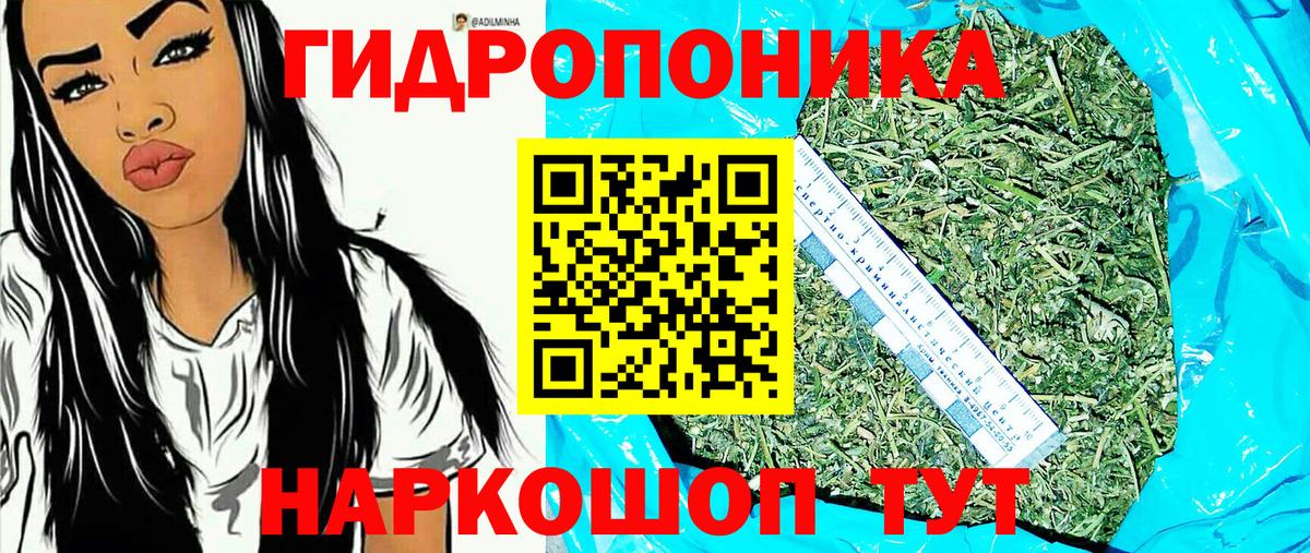 Бошки марихуана Amnesia  Каннабис Amnesia  Конопля сатива  Вход с VPN  Конопля OG Kush  Татарск 